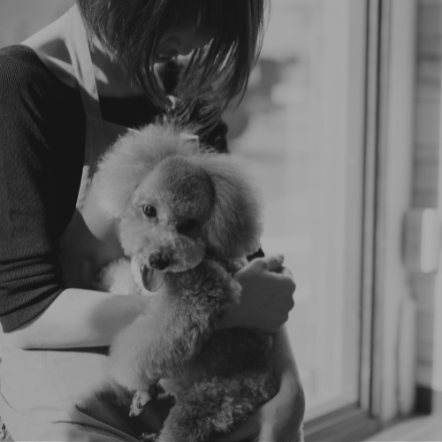 Chouetteのコンセプト