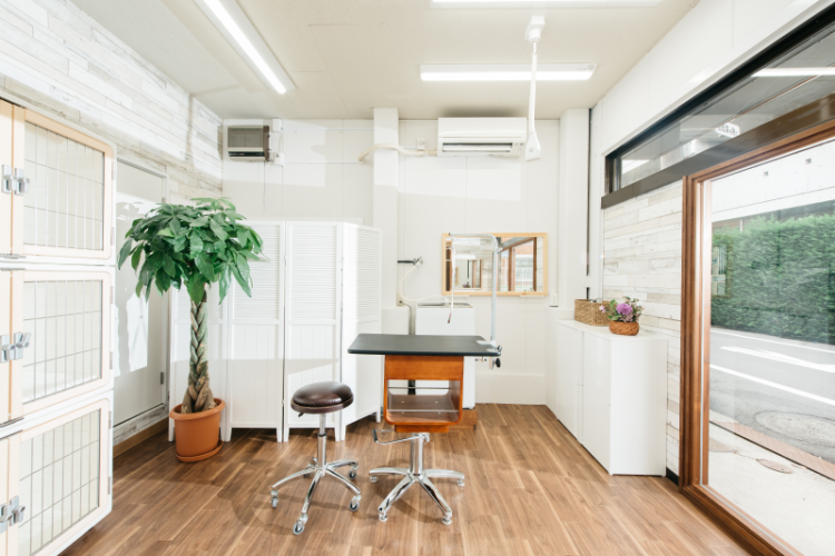 アットホームで開放的な空間