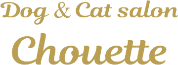 用賀にある小さな小さなグルーミングサロン | ドックアンドキャットサロン シュエット