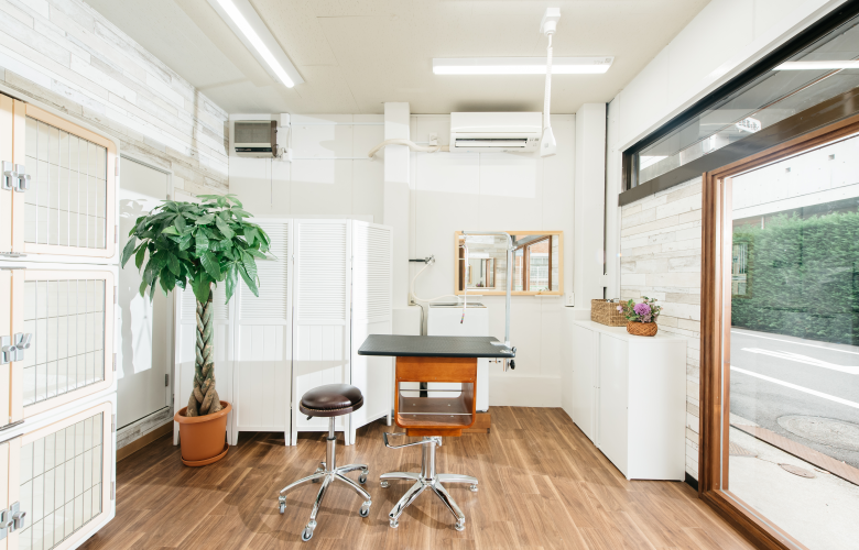 サロン内がひと目でご覧いただけるアットホームで開放的な空間 | ドックアンドキャットサロン シュエット