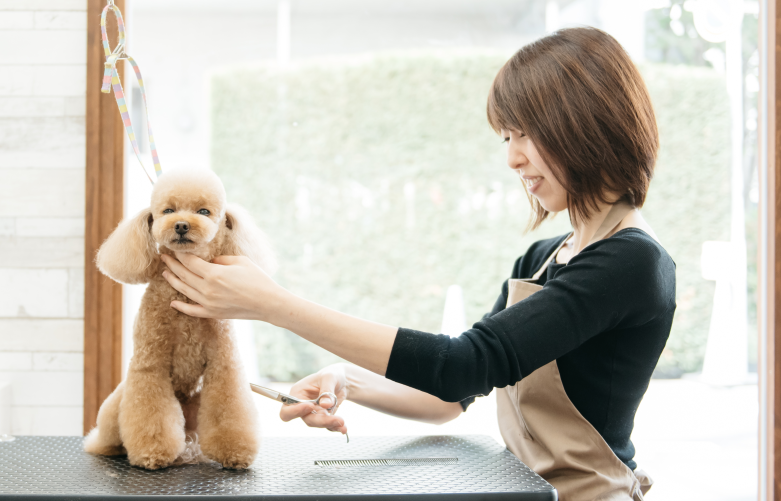 豊富な経験と積み重ねてきた技術でお手入れ | ドックアンドキャットサロン シュエット